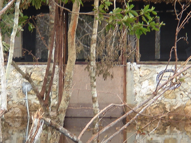 dsc00602.jpg
